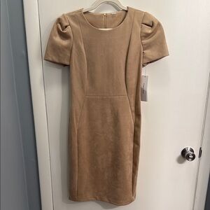 Calvin Klein Women's Tulip Sleeve Crew Neck Solid Suede Sheath Dress - 6